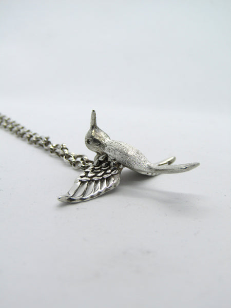 Hummingbird. Soul. Music. bird
