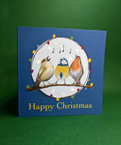 Christmas Cards featuring Irish animals with Christmas lights illustrated by Claire Guinan. Goldfinch, blue tit and robin